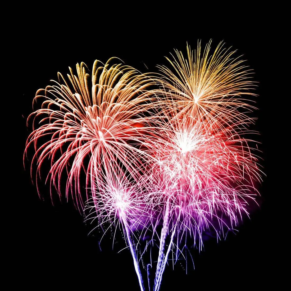 Happy Independence Day!
