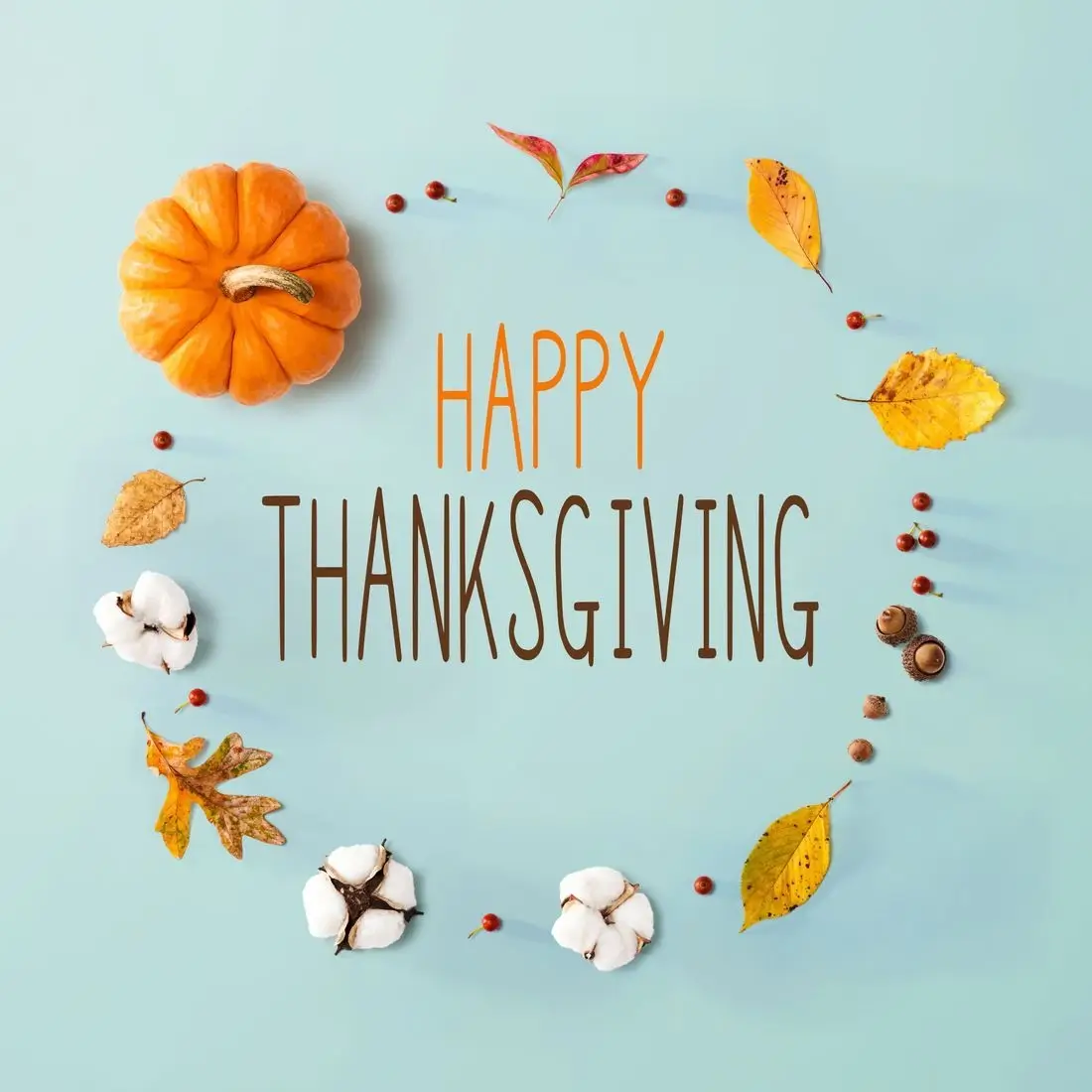 Happy Thanksgiving!
