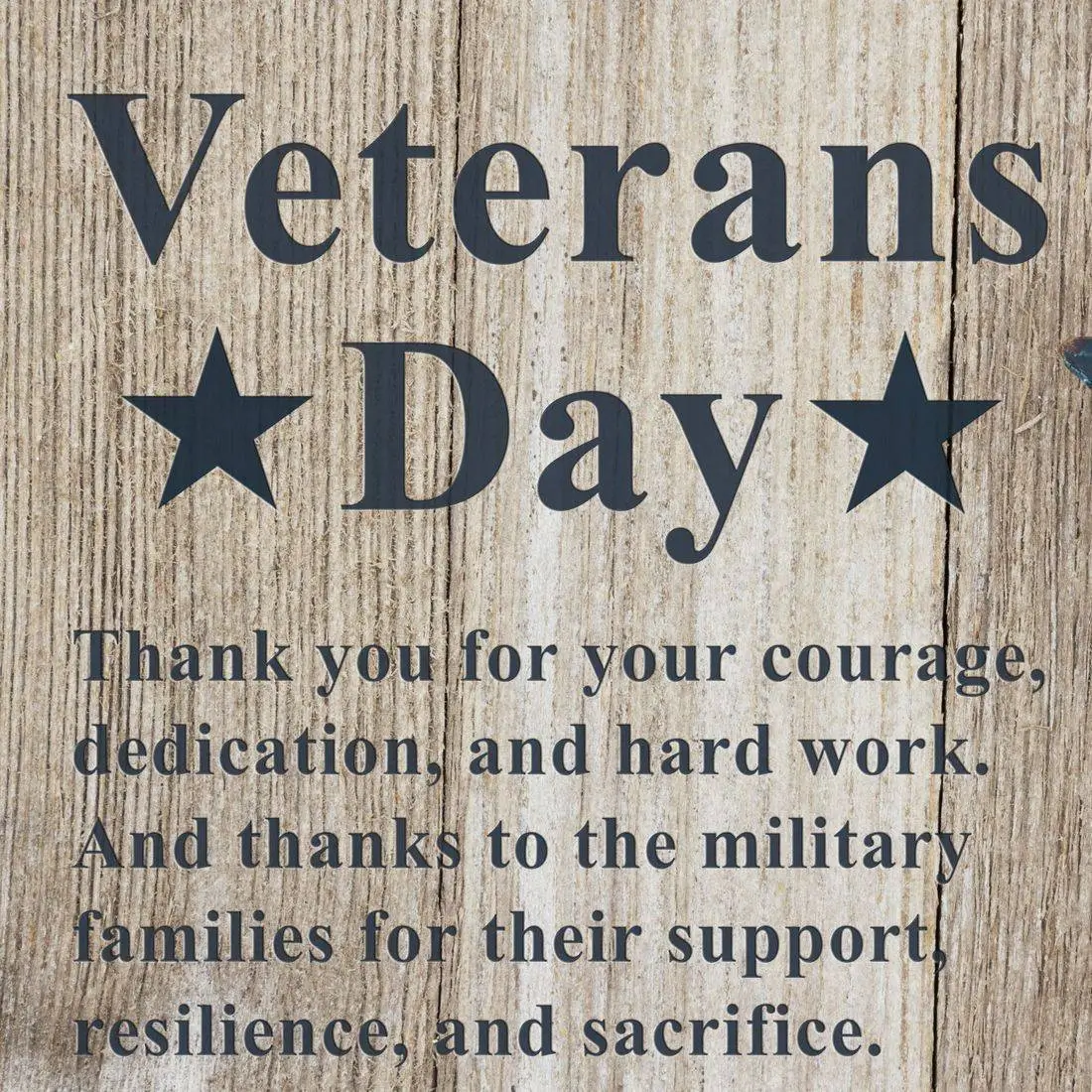 Honoring our Veterans!