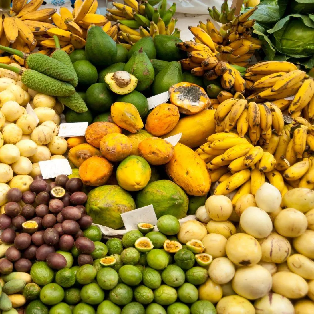 Why does your Physical Therapist ask About Your Diet?